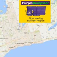 Purple Dumpster image 8